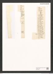 Diatomeae indet. Zeichnungen Sammlung Grunow (NHMW-BOT-W0370848)
